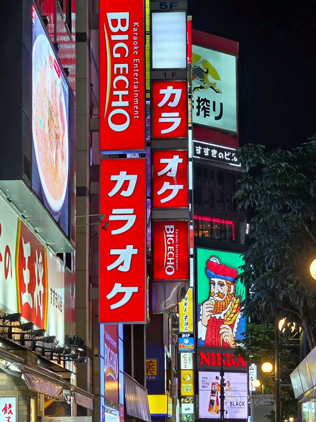 Une rue de Sapporo la nuit : deux enseignes rouges où カラオケ (karaoke) est écrit de haut en bas en grands katakana blancs.